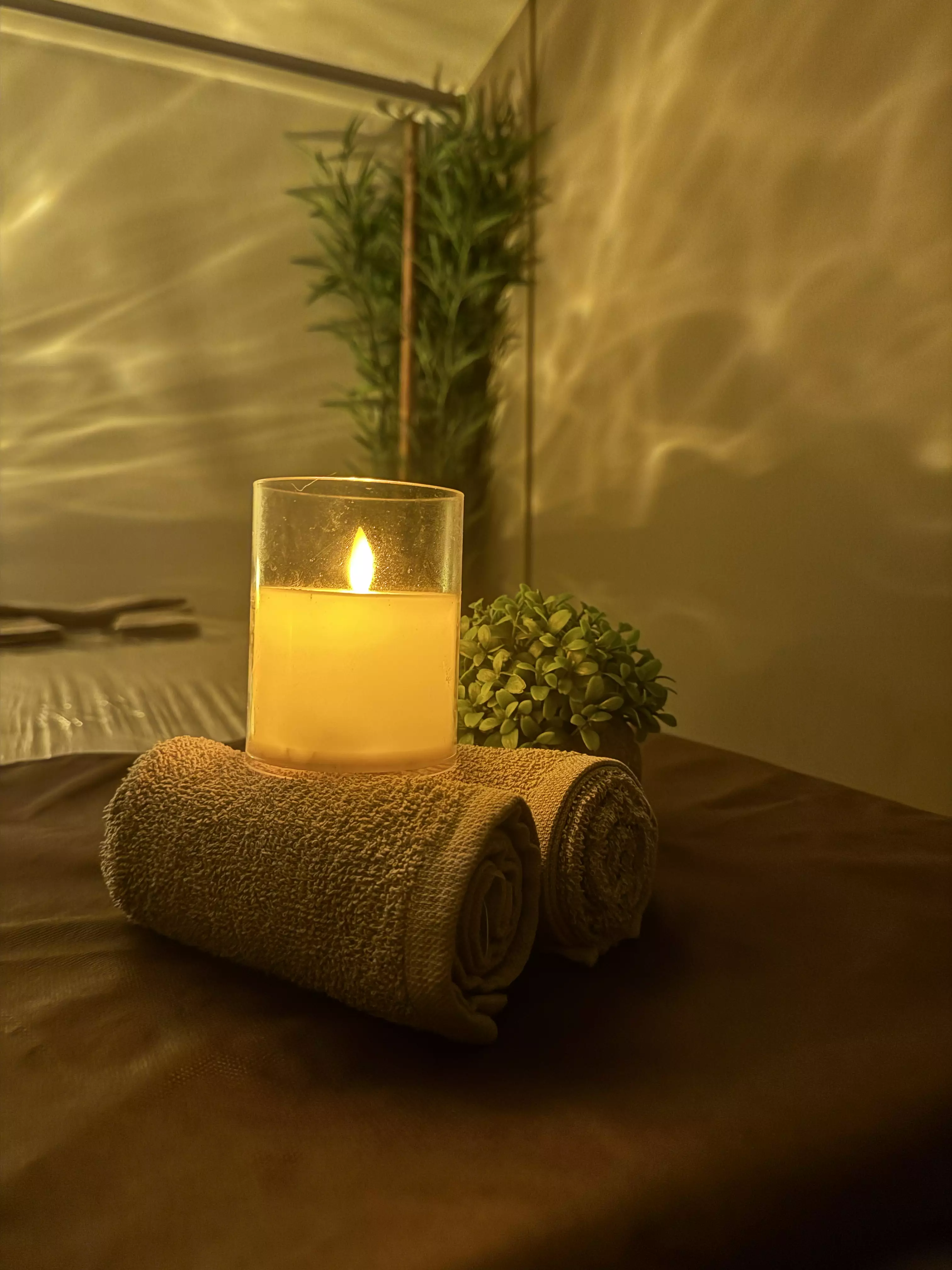 Wellness experience